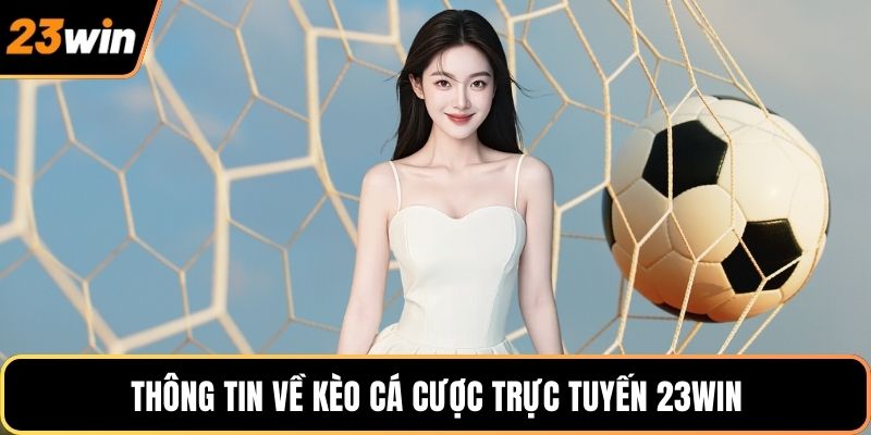 Thông tin về kèo cá cược trực tuyến 23WIN