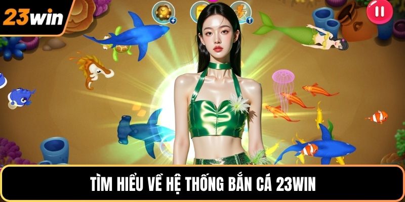 Tìm hiểu về hệ thống bắn cá 23WIN